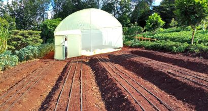 Green House